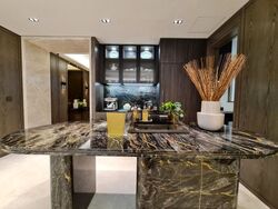 Klimt Cairnhill (D9), Apartment #522553841